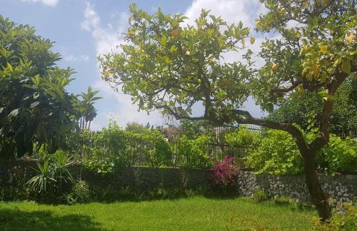 Villa Muse Holiday oasi sul mare di CapoMulini, Acireale - Sicilia, Italy Locazione Turistica - Foto 18