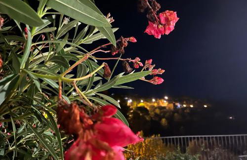 Appartement Eze Village proche Monaco fabuleuse vue mer et vieux village - Foto 8