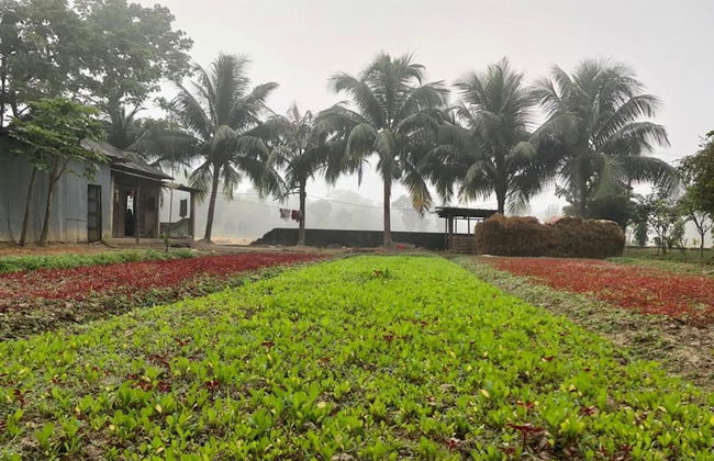 Aminvilla Resort - Foto 18