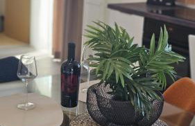 LOOK Smokvica Pag Apartmani - Foto 39