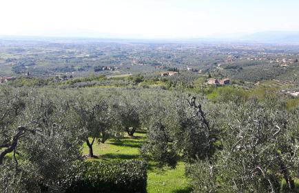 Il Palagio - Foto 47