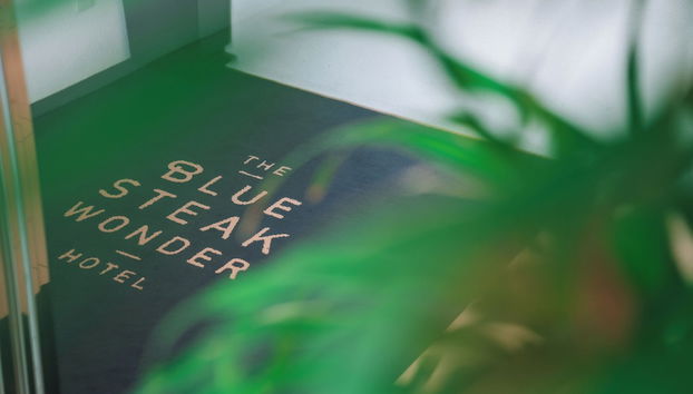 BLUE STEAK WONDER NAGAHAMA - Foto 3, Entrada interior