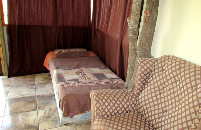 Amazing Tree in Lounge Eco Apartment With Leopards Passing by at Night - Foto 7