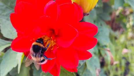 Ferienwohnung Emma an der Romantischen Straße - Foto 5