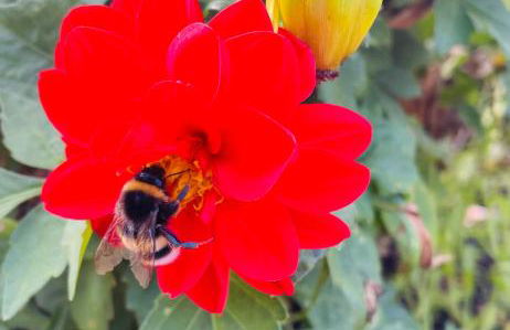 Ferienwohnung Emma an der Romantischen Straße - Foto 5