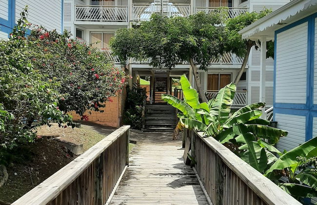 Kaz ananas passion - Photo 40