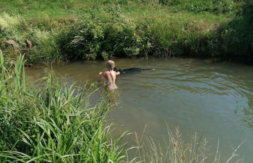 Wild Life Ranch - Foto 30