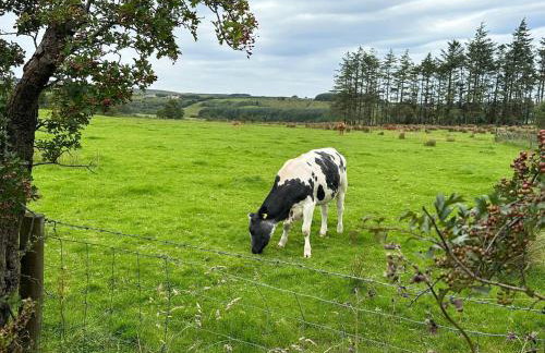 The Truck with private hot tub - Forest View - Foto 26