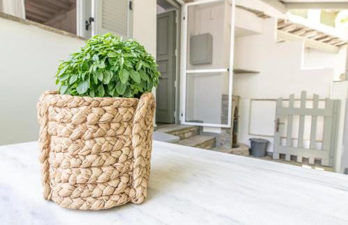 Apopsis Tinos Square - Foto 48