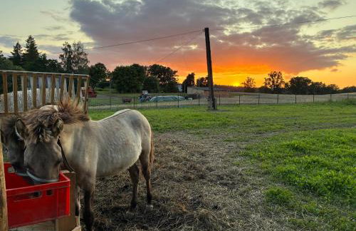 Chata Smarzewo - Foto 1
