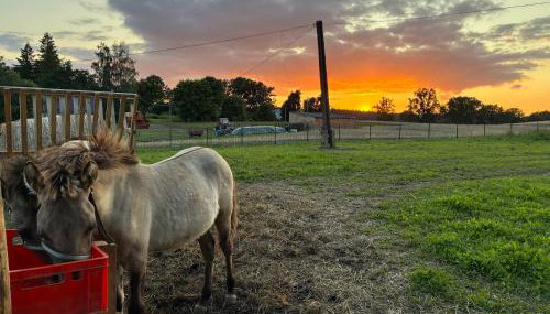 Chata Smarzewo - Foto 1