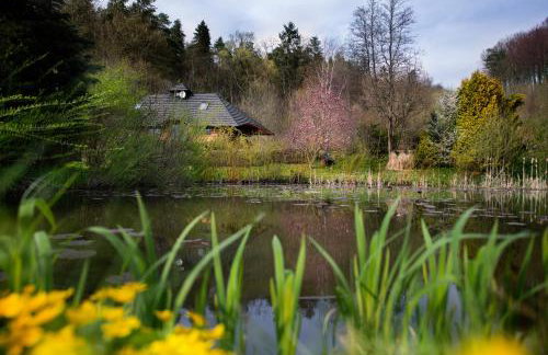 Dzikie południe - Foto 16