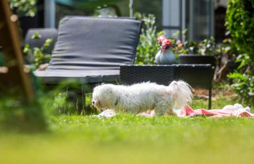 Forest Hill Domki - Międzyzdroje -KLIMATYZACJA - Foto 63