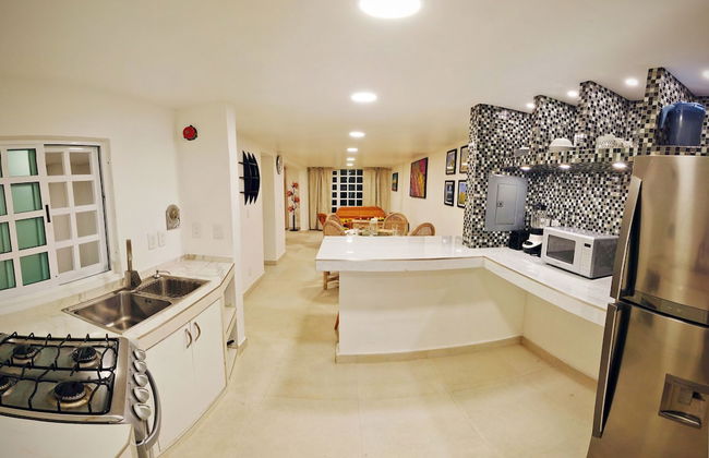 HominngBird - Foto 40