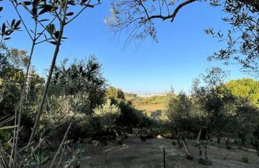 Villa María, casa rural en Cazalla de la Sierra. - Photo 4