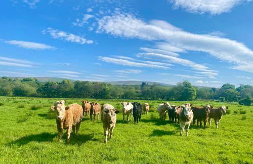 Mill Farm Retreat - Foto 55