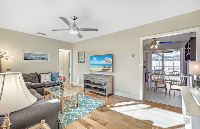 Happy Gecko - Foto 25