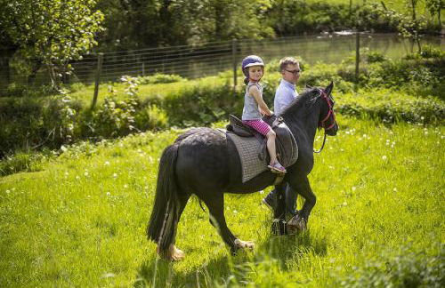 Gut Frielinghausen - Foto 7