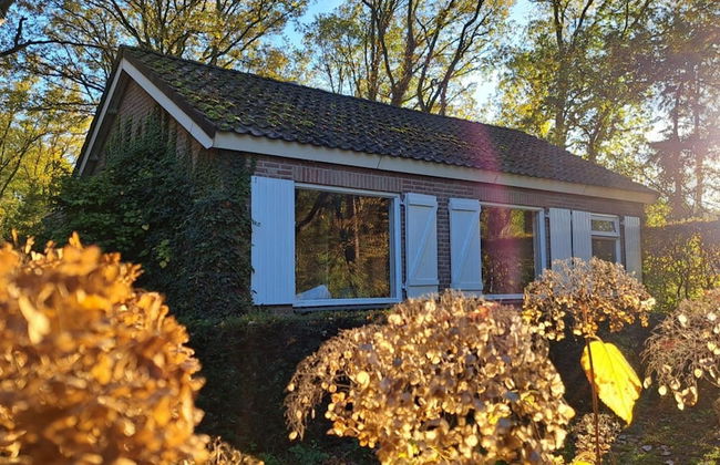 Villa in Vessem Near Eindhoven - Foto 22