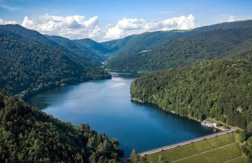 RELAX CHALET Nature Retreat - isolé sur 3 hectares - confort de LUXE - maison entière 150m2 - près de La Bresse - Foto 70