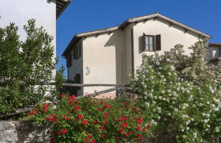 Agriturismo Castello Di Pupaggi - Foto 19