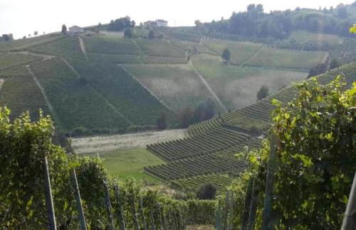 Mansion in Langhe With Pool and Winery Charm - Foto 48