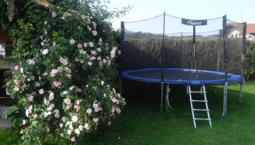 Bachtelhuber-Hof - Foto 4