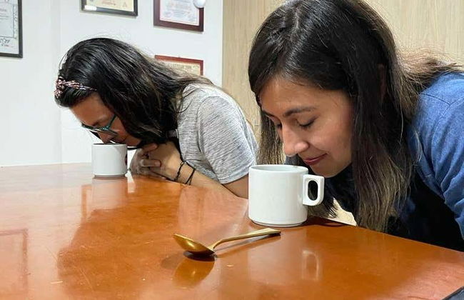 Armenia Coffee Workshop - Foto 6