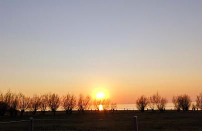 Hof am Meer "Seerose" - Foto 21