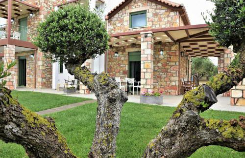 Messinian Horizons - Foto 77