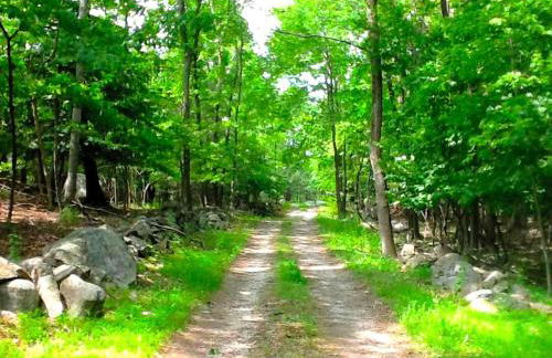 Peaceful Tree House Nestled Away in Hudson Valley, New York - Foto 31
