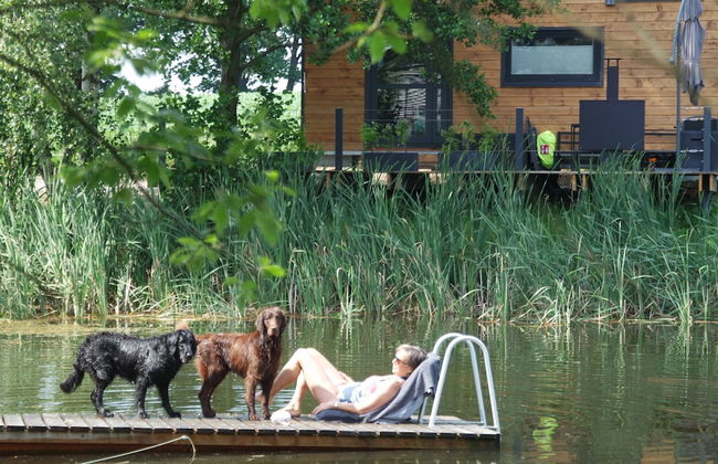 TinyHousebeiDresden – klein, aber fein, beste Lage mit großer Terrasse direkt am Naturteich - Nähe Sächsische Schweiz - Foto 15