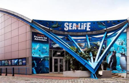 Large Home near Edgbaston Stadium, UOB & QE hospital sleeps 6 - Foto 60