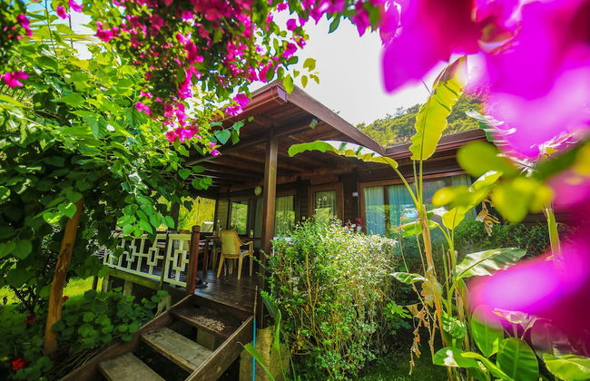 Cirali Villa Zeytin - Foto 36