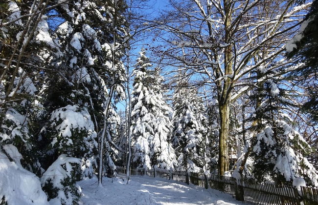 Cozy Holiday Home in Loßburg near Ski Area - Foto 29