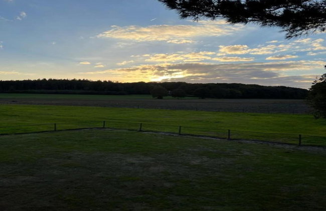 Sunlit Chalet by the Pond - Foto 16