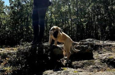 Via Fera, con vistas a la naturaleza - Foto 39