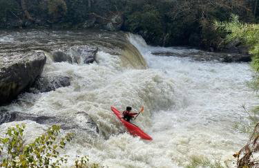 Bear's Mountaintop Home with Gorgeous Lake Views chalet - Foto 34