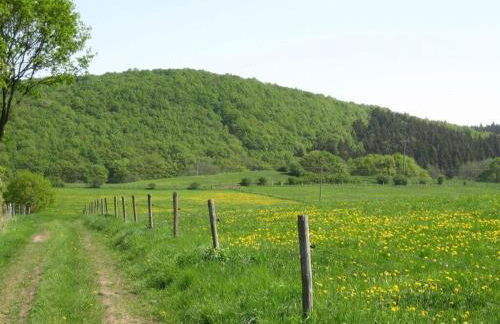 Holiday Apartment Anita Wald - Foto 31