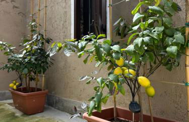 B&B LA CORTE - Foto 26