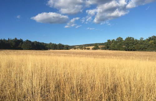 La Bastide du Père Marius - Foto 15