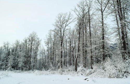 Kelly's Chalet - Foto 30