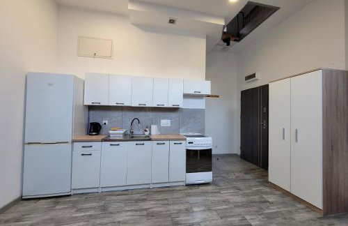 Apartamenty Parkowe nr 8 - Foto 7