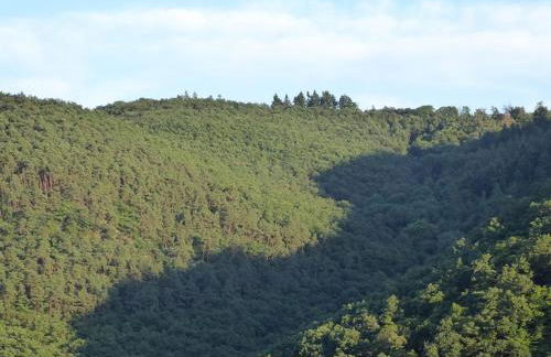 Ferienwohnung David - Foto 32