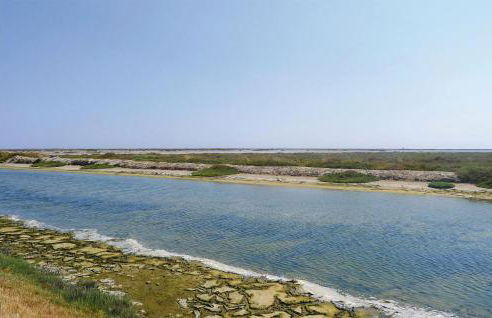 Les Piboules - Foto 27