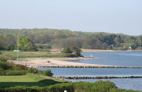 FEWO Muschel - Foto 16