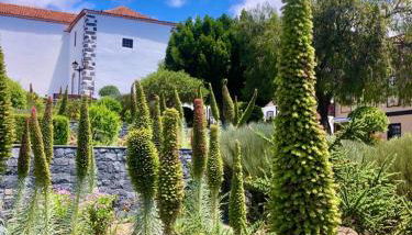 Hotel Rural Vilaflor Self Check In 24h - Foto 4