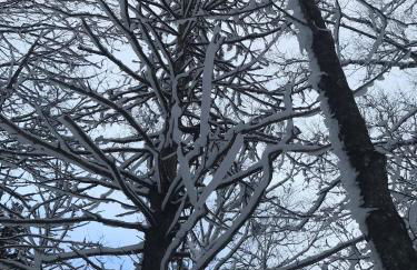 Dreamy Artist Chalet in Secluded Historic Village - Photo 26