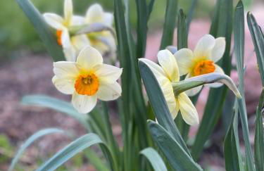 Mountain Vistas House and Acreage - Foto 79