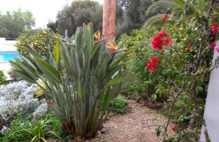 Feliz Apartments - Foto 46